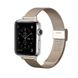 Ремешок для Apple Watch 41/40/38 mm Mesh Steel bracelet Gold