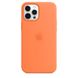 Silicone Case for iPhone 12 Pro Max - Kumquat фото 1