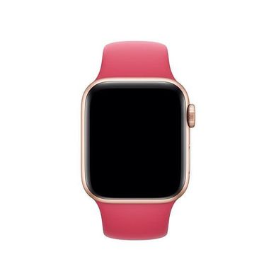Ремешок для Apple Watch 38 / 40 / 41 mm Hibiscus Sport Band - S/M & M/L