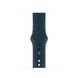 Ремешок для Apple Watch 38 / 40 / 41 mm Pacific Green Sport Band - S/M & M/L
