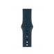 Sport Band S/M & M/L - 42 / 44 / 45 mm Pacific Green