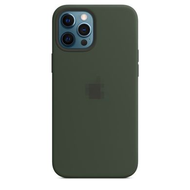 Silicone Case for iPhone 12 Pro Max - Cyprus Green