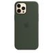 Silicone Case for iPhone 12 Pro Max - Cyprus Green