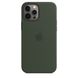 Silicone Case for iPhone 12 Pro Max - Cyprus Green фото 1