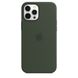Silicone Case for iPhone 12 Pro Max - Cyprus Green фото 4