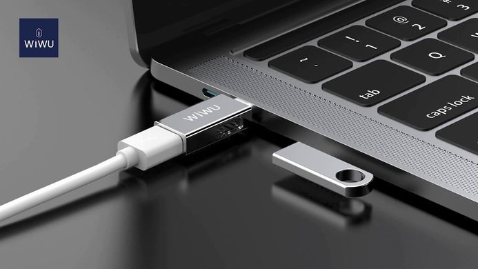 Хаб USB-C to 2 USB 3.0 WIWU T02