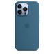 iPhone 13 Pro Silicone Case - Blue Jay фото 1