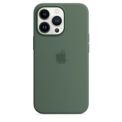 iPhone 13 Pro Max Silicone Case - Eucalyptus