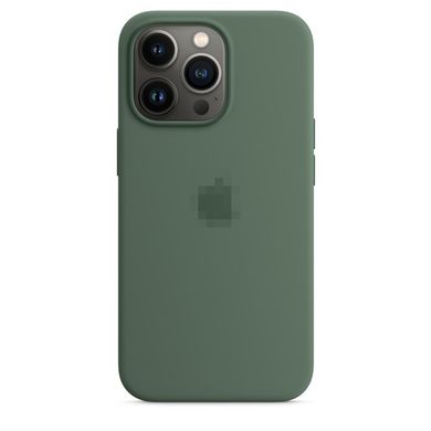 iPhone 13 Pro Max Silicone Case - Eucalyptus