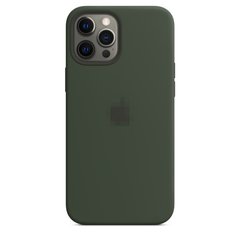 Silicone Case for iPhone 12 / 12 Pro - Cyprus Green