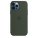 Silicone Case for iPhone 12 / 12 Pro - Cyprus Green фото 2