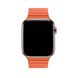 Ремешок для Apple Watch 45/44/42 mm Leather Loop Orange фото 2